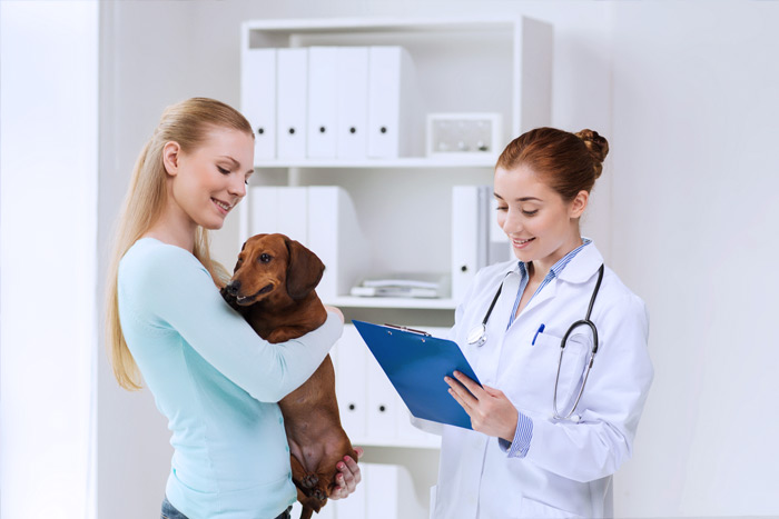ЭЦП для оформления ветеринарных сертификатов (ГИС Меркурий) в Ногинске